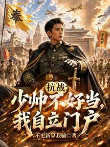 《抗战：少帅不好当，我自立门户》小说封面