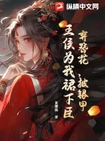 《弃簪花,披银甲,王侯为我裙下臣!》小说封面