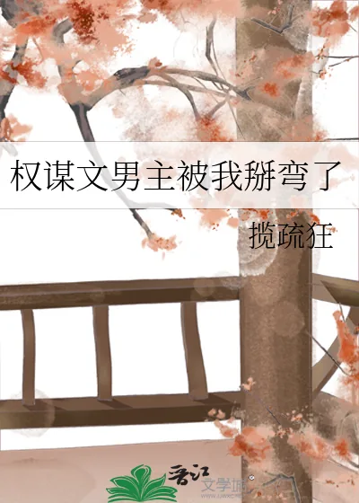 《权谋文男主被我掰弯了》小说封面