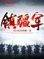 《镇疆军》小说封面