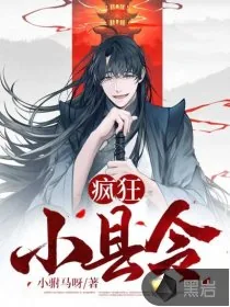 《疯狂小县令》小说封面