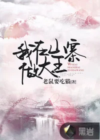 《我在山寨做大王》小说封面