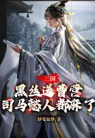 《三国：黑丝送曹营，司马懿人都麻了》小说封面