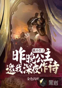《瞒不住了:昨晚公主邀我深夜作诗》小说封面