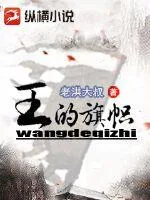 《王的旗帜》小说封面