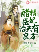 《醋精医妃治夫有良方》小说封面