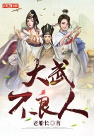 《大武不良人》小说封面