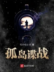 《孤岛谍战》小说封面