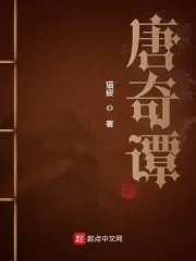 《唐奇谭》小说封面