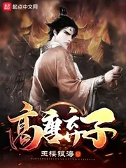 《高唐弃子》小说封面