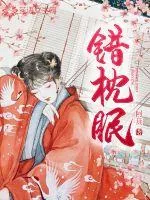 《错枕眠》小说封面