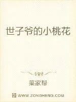 《世子爷的小桃花》小说封面