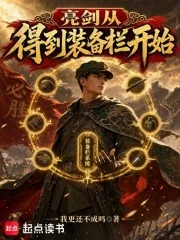 《亮剑:从得到装备栏开始》小说封面