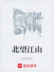 《北望江山》小说封面