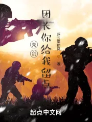 《亮剑:团长你给我留点》小说封面