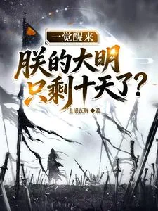 《一觉醒来，朕的大明只剩十天了？》小说封面