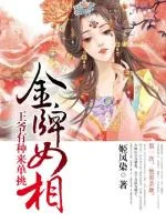 《金牌女相,王爷有种来单挑》小说封面