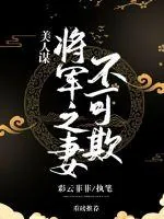 《美人谋:将军之妻不可欺》小说封面
