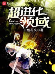 《超进化领域》小说封面