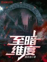 《至暗维度》小说封面