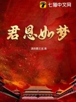 《君恩如梦》小说封面