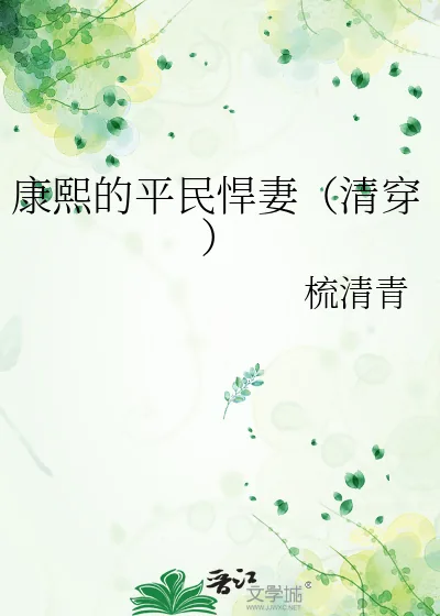 《康熙的平民悍妻(清穿)》小说封面