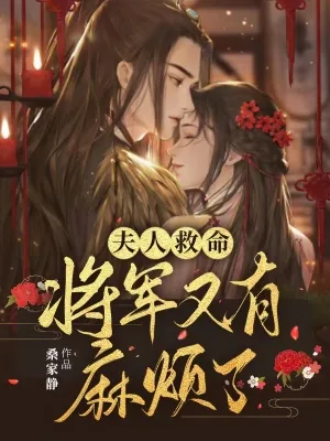 《夫人救命,将军又有麻烦了》小说封面