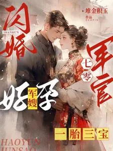 《闪婚七零军官,好孕军嫂一胎三宝》小说封面