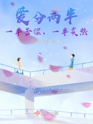 《爱分两半,一半苦涩,一半炙热》小说封面