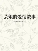 《芸姐的爱情故事》小说封面