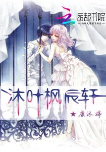 《沐叶枫辰轩》小说封面