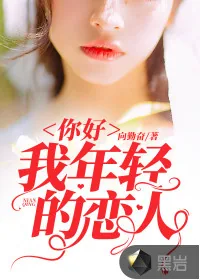 《你好，我年轻的恋人》小说封面
