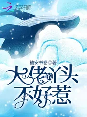 《大佬的丫头不好惹》小说封面