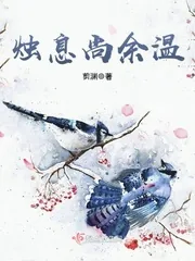 《烛息尚余温》小说封面