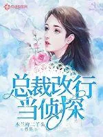 《总裁改行当侦探》小说封面