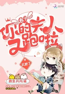 《牧少，你的夫人又跑啦》小说封面
