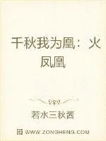 《千秋我为凰：火凤凰》小说封面