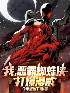 《我，恶霸蜘蛛侠，打爆漫威！》小说封面