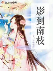 《影到南枝》小说封面
