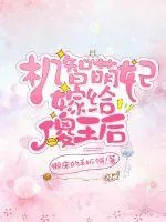 《机智萌妃嫁给傻王后》小说封面