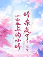 《天啦！皇上的小娇娇杀疯了》小说封面