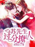 《苏先生过分撩人》小说封面