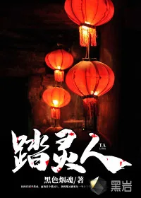 《踏灵人》小说封面