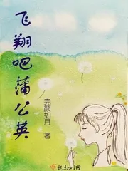 《飞翔吧蒲公英》小说封面