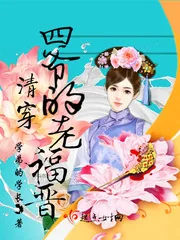 《清穿四爷的老福晋》小说封面