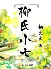 《柳氏小七》小说封面