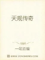 《天规传奇》小说封面