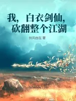 《我,白衣剑仙,砍翻整个江湖》小说封面