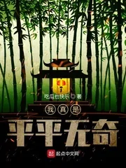 《我真是平平无奇》小说封面