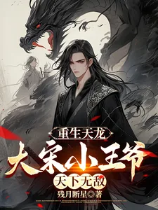《重生天龙，大宋小王爷，天下无敌》小说封面